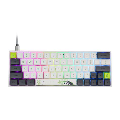 EPOMAKER SKYLOONG SK64 64 Keys Hot Swappable Mechanical Keyboard with RGB Backlit, PBT Keycaps, Arrow Keys for Win/Mac/Gaming (Gateron Optical Blue, Panda)